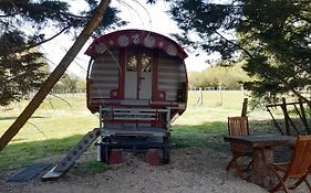 Roulotte Irlandaise Polly