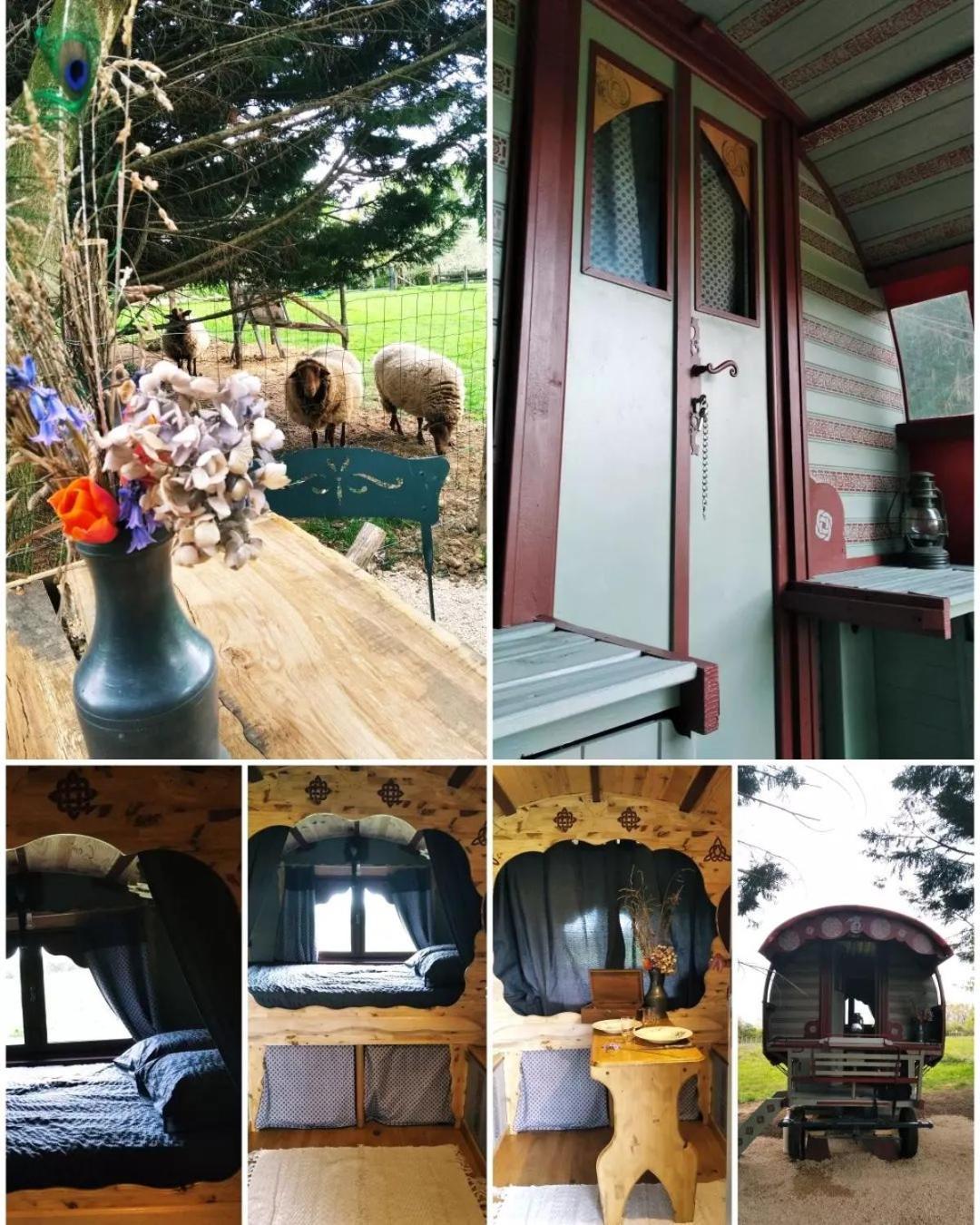 Hotel Roulotte Irlandaise Polly à Saint-Vincent-en-Bresse Extérieur photo