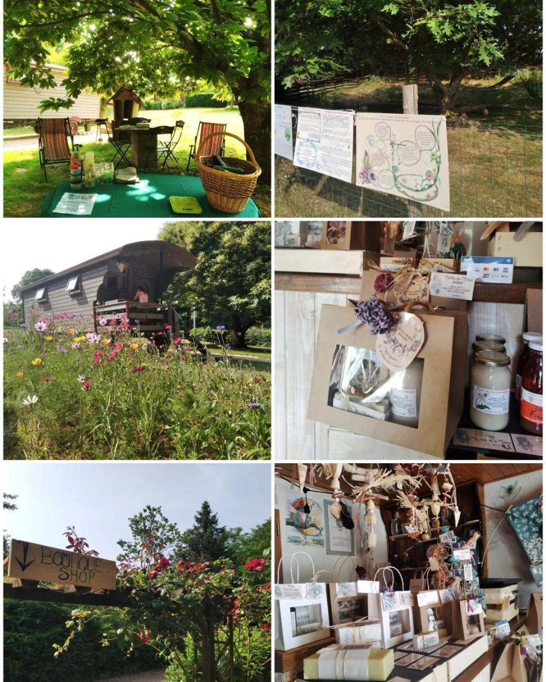 Hotel Roulotte Irlandaise Polly à Saint-Vincent-en-Bresse Extérieur photo
